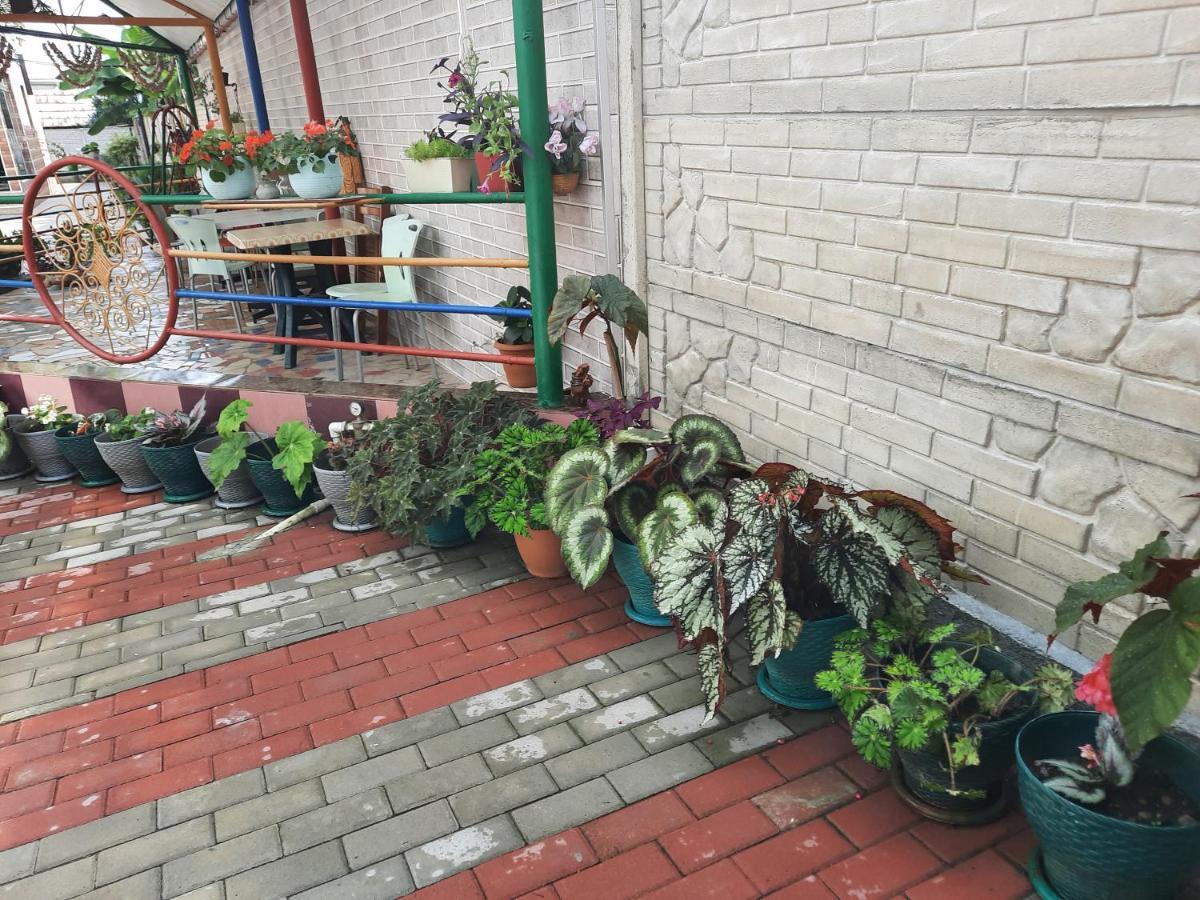 Nino Otel Kobuleti Dış mekan fotoğraf
